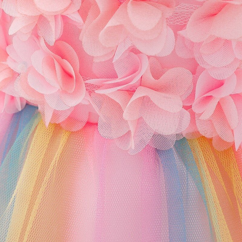 Eva Rainbow Tulle Dress - Plum Sugar Shoppe
