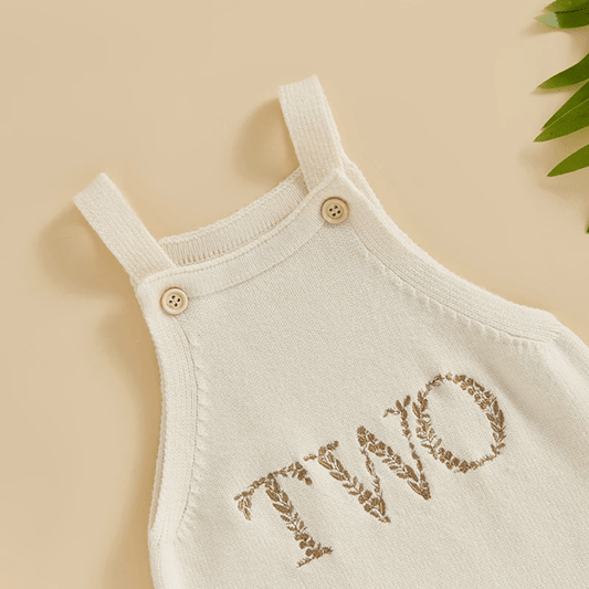 Embroidered Birthday Romper - Plum Sugar Shoppe