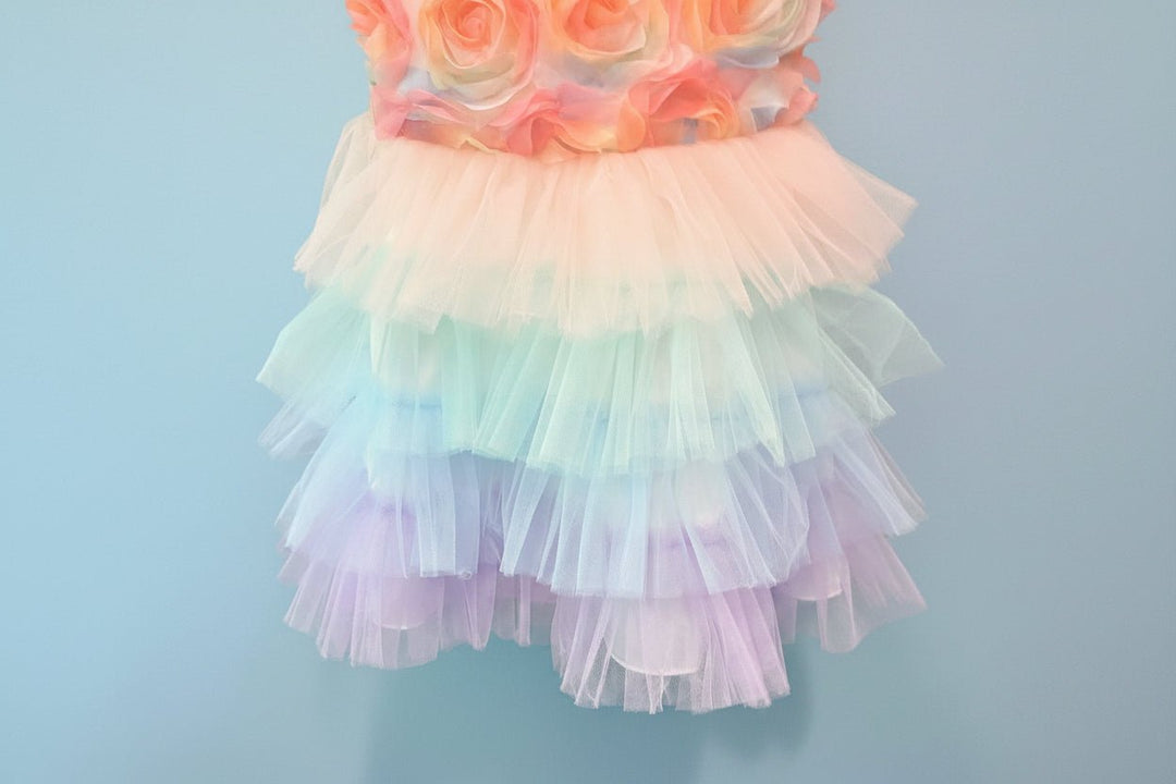 Eva Rainbow Tulle Dress - Plum Sugar Shoppe