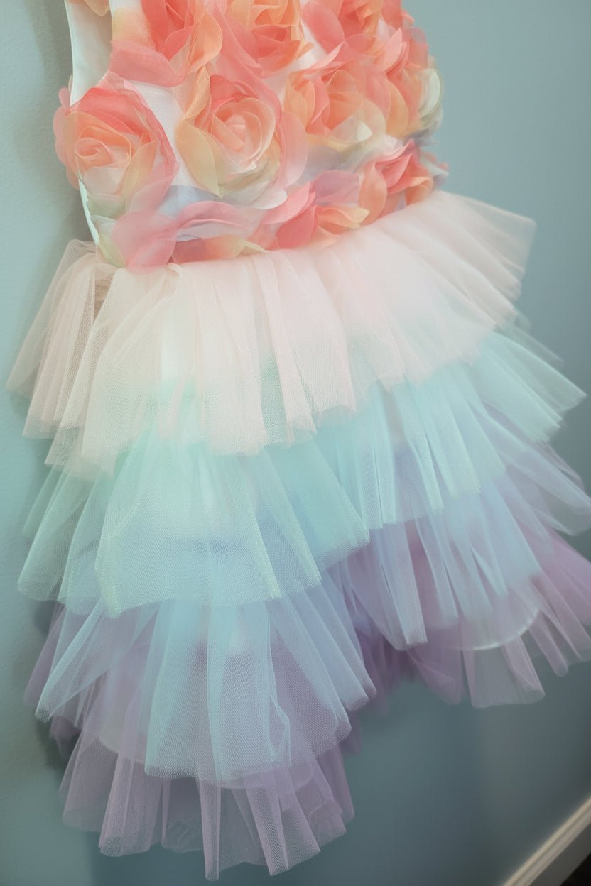 Eva Rainbow Tulle Dress - Plum Sugar Shoppe