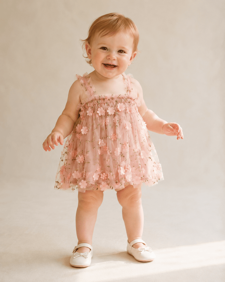Josephine Embroidered Baby Party Dress - Plum Sugar Shoppe