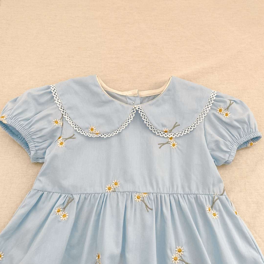 Suzette Embroidered Floral Dress - Plum Sugar Shoppe